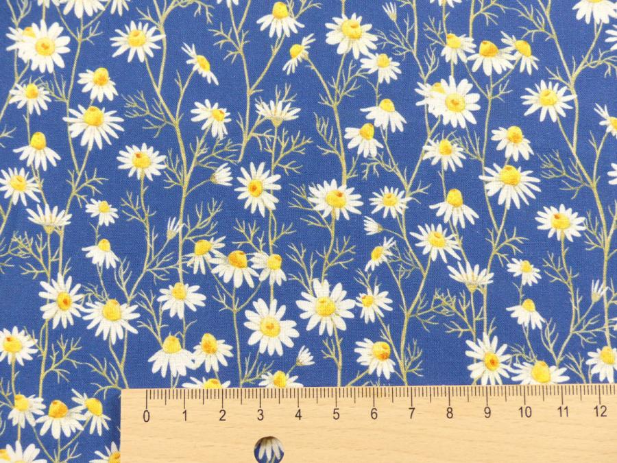 Hedgehog Hollow Blumen Gänseblümchen Daisies blau von In the Beginning